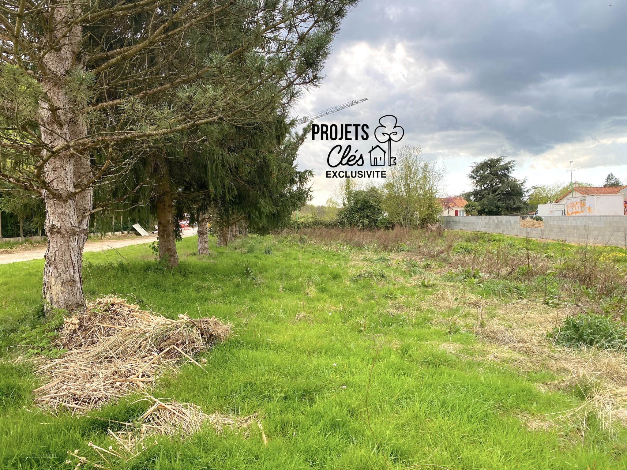 Terrain à vendre à Landeronde, 665 m² – photo 2 sur 9