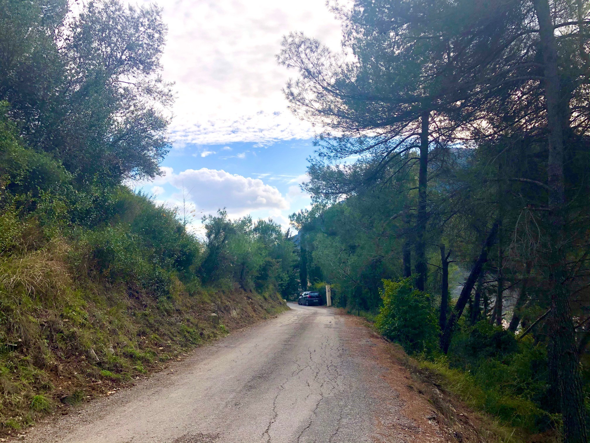 TOURRETTE LEVENS, TERRAIN CONSTRUCTIBLE DE 2378M2 EXPO OUEST ACCES DIRECT — photo 2