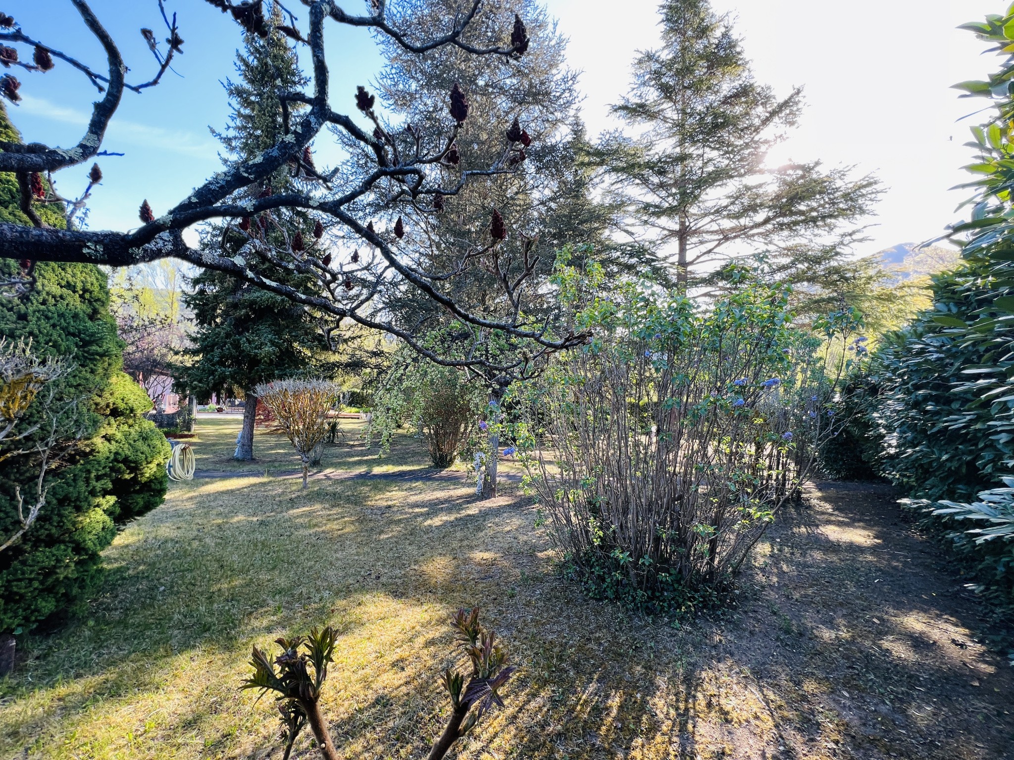 Maison à vendre à Sospel, 83 m², 3 pièces – photo 1 sur 20