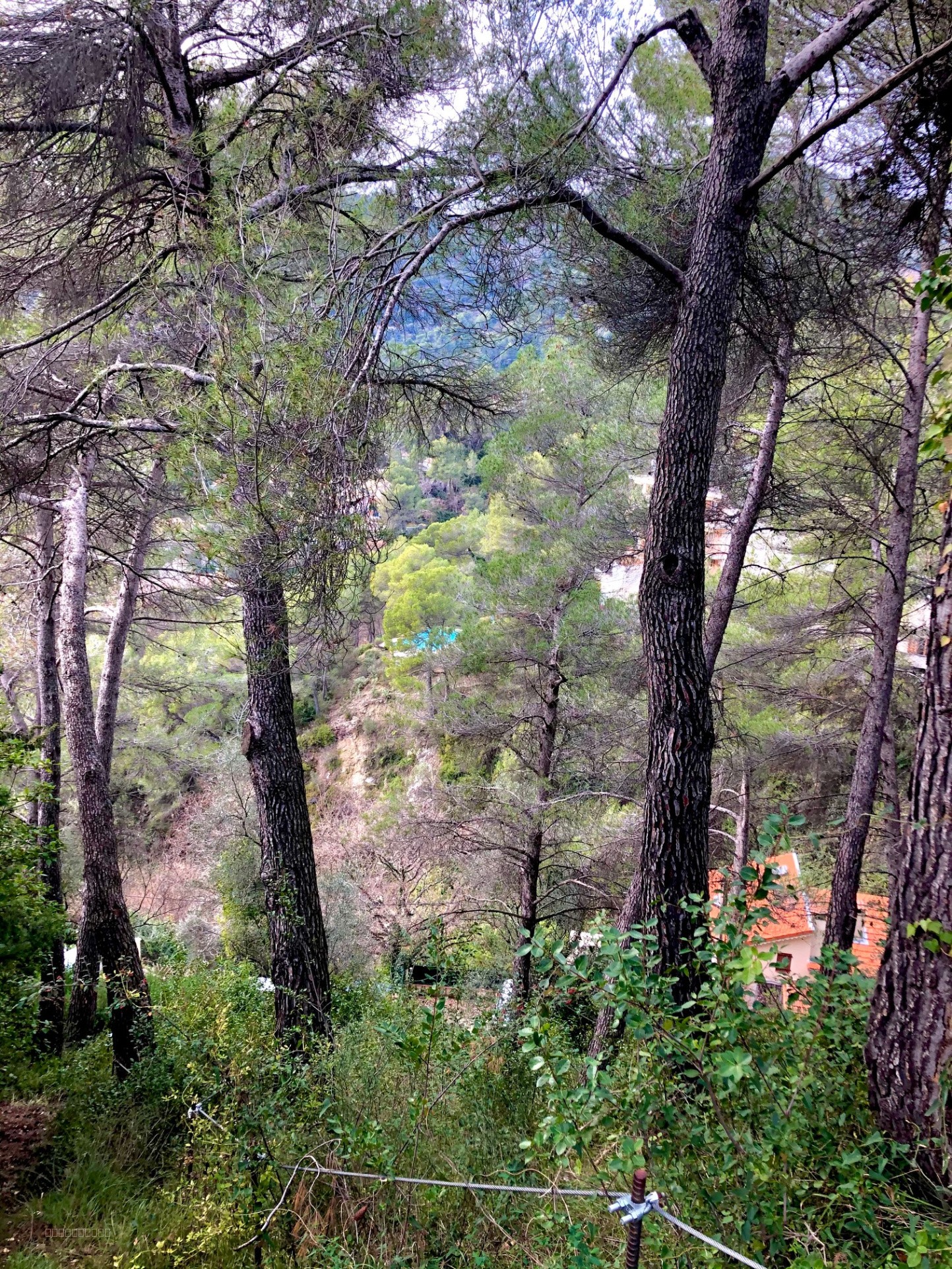 TOURRETTE LEVENS, TERRAIN CONSTRUCTIBLE DE 2378M2 EXPO OUEST ACCES DIRECT — photo 4
