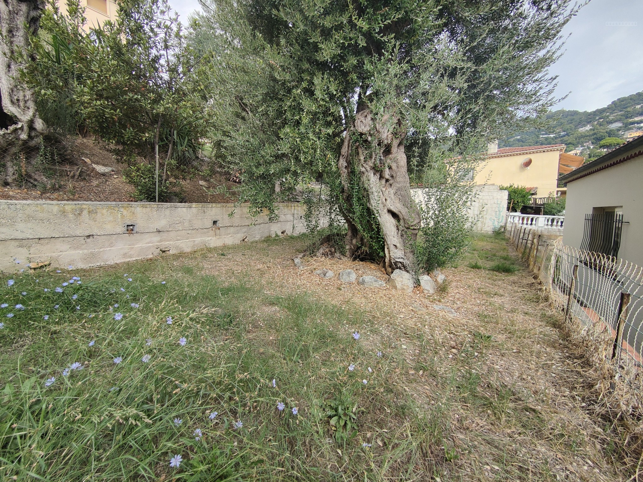 Roquebrune Cap Martin - Maison 4 pièces de 95m2, jardin de 550m2, cave et garage — photo 9