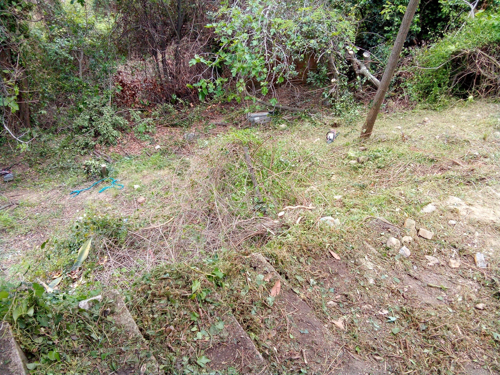 Menton terrain de loisirs avec petite ruine cadastrée — photo 1