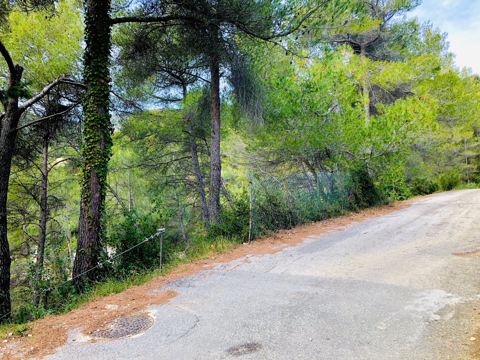 TOURRETTE LEVENS, TERRAIN CONSTRUCTIBLE DE 2378M2 EXPO OUEST ACCES DIRECT — photo 7
