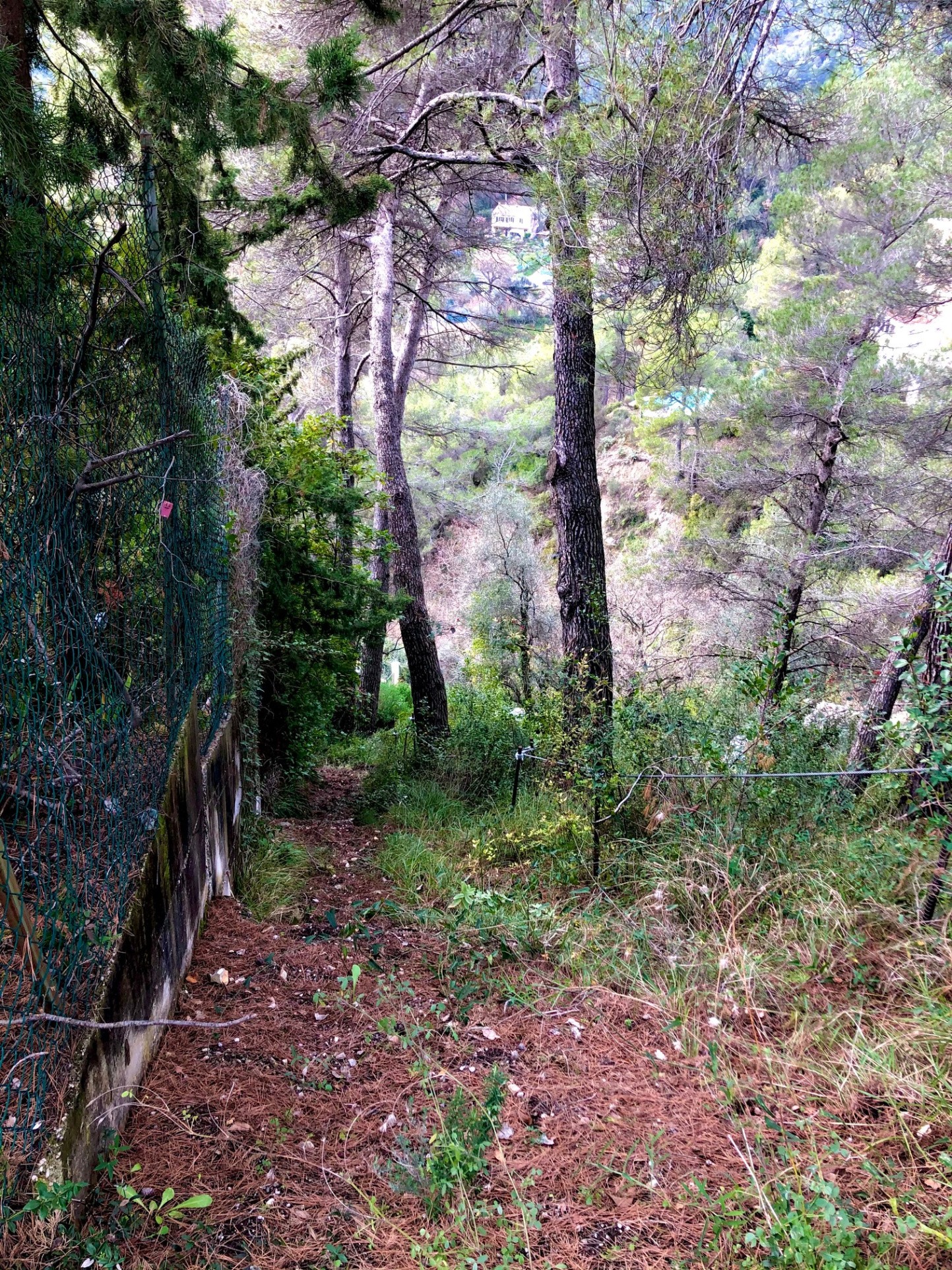 TOURRETTE LEVENS, TERRAIN CONSTRUCTIBLE DE 2378M2 EXPO OUEST ACCES DIRECT — photo 6