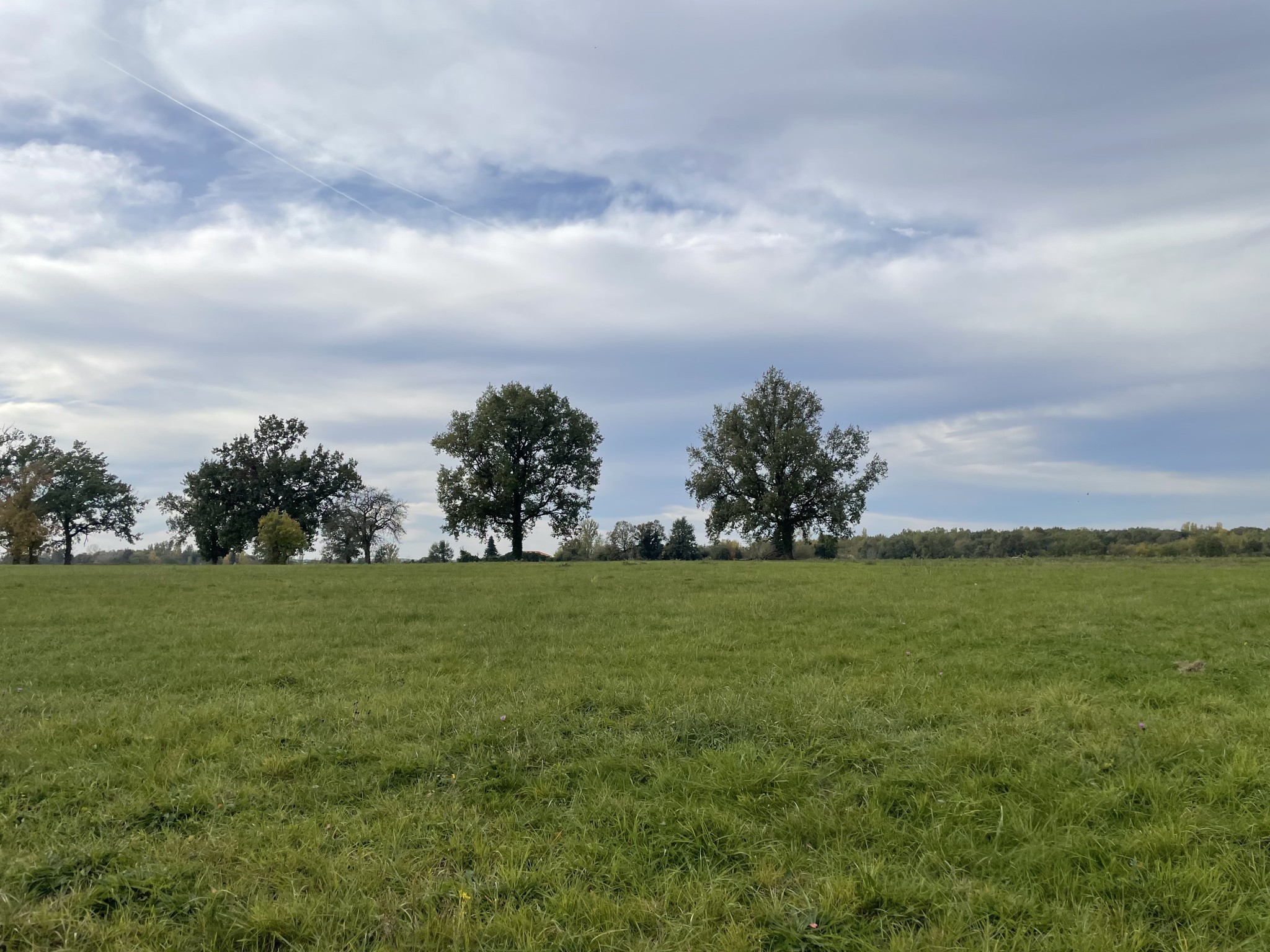 Bien immobilier à vendre à Negrepelisse, 1 954 m² – photo 1 sur 2