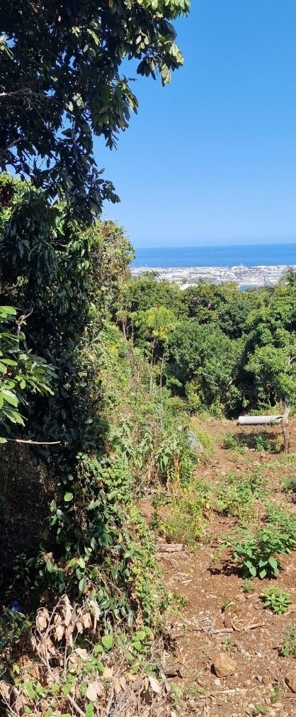Terrain à vendre à La possession, 400 m² – photo 1 sur 7