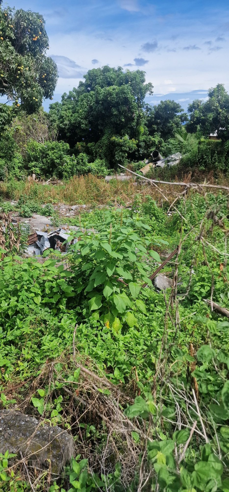 Terrain à vendre à La possession, 400 m² – photo 2 sur 7