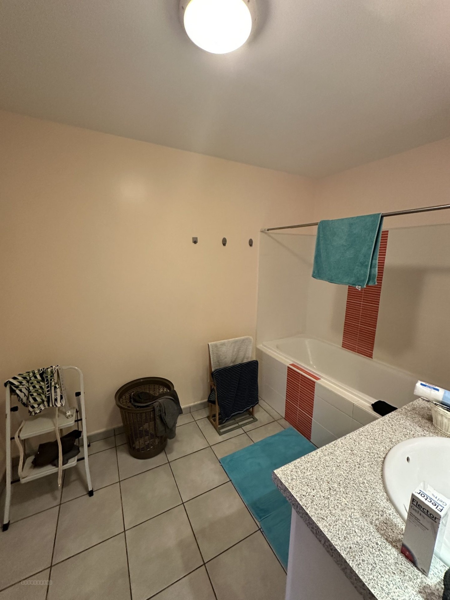 appartement St joseph — photo 6