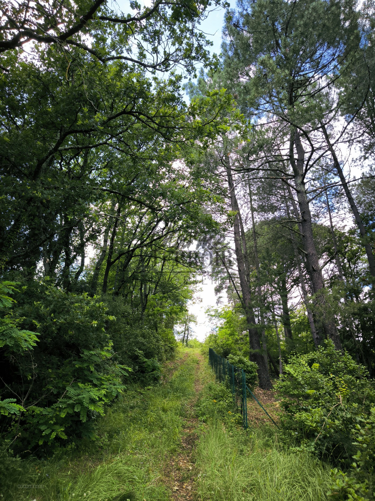 Terrain constructible à vendre à Uzes, 7 301 m² – photo 2 sur 3