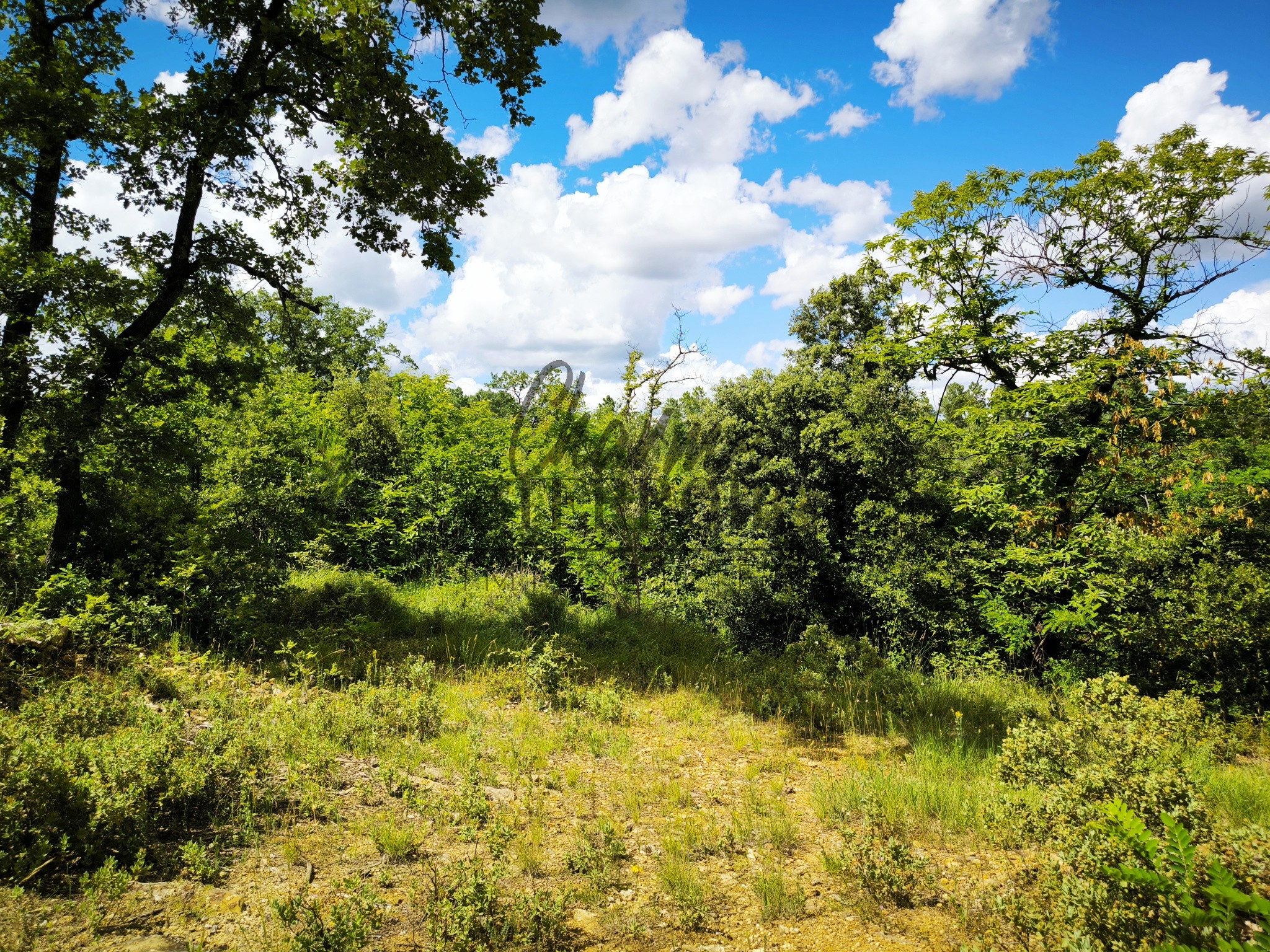 Terrain constructible à vendre à Uzes, 7 301 m² – photo 1 sur 3