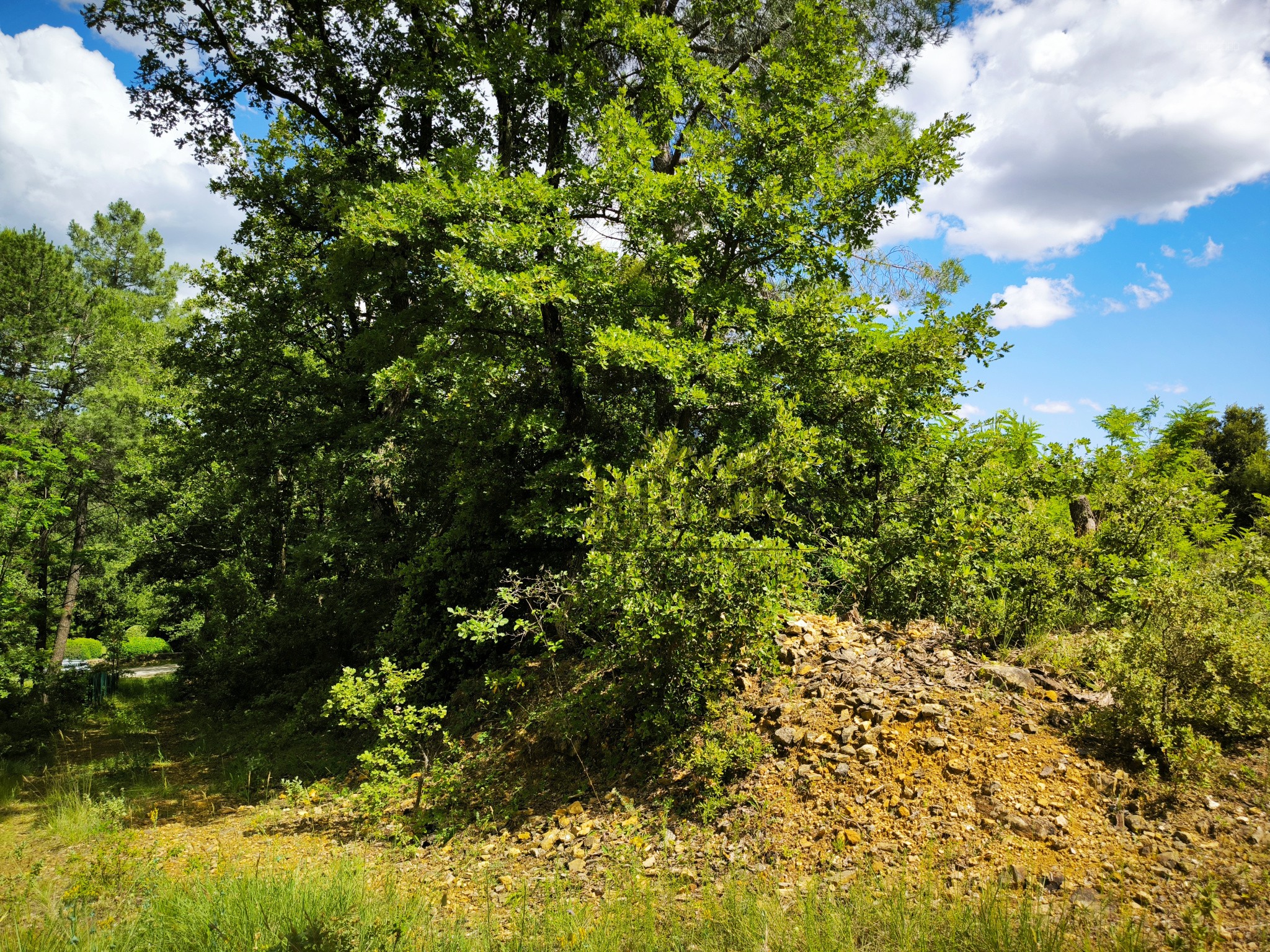 Terrain constructible à vendre à Uzes, 7 301 m² – photo 3 sur 3
