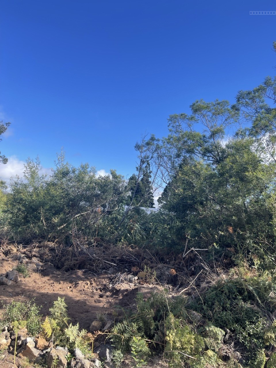 Terrain à vendre à La plaine des cafres, 659 m² – photo 3 sur 3