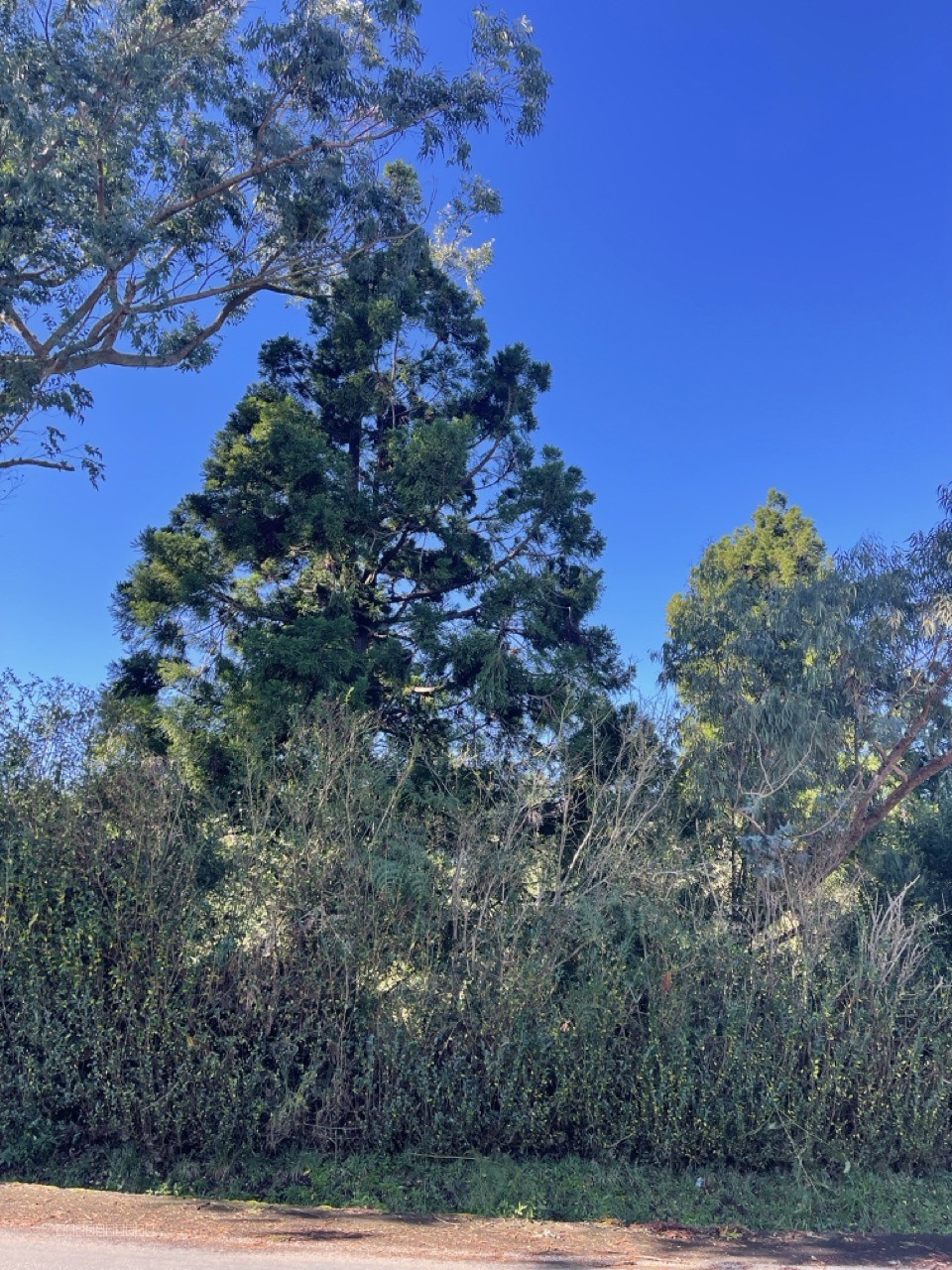 Terrain à vendre à La plaine des cafres, 659 m² – photo 2 sur 3