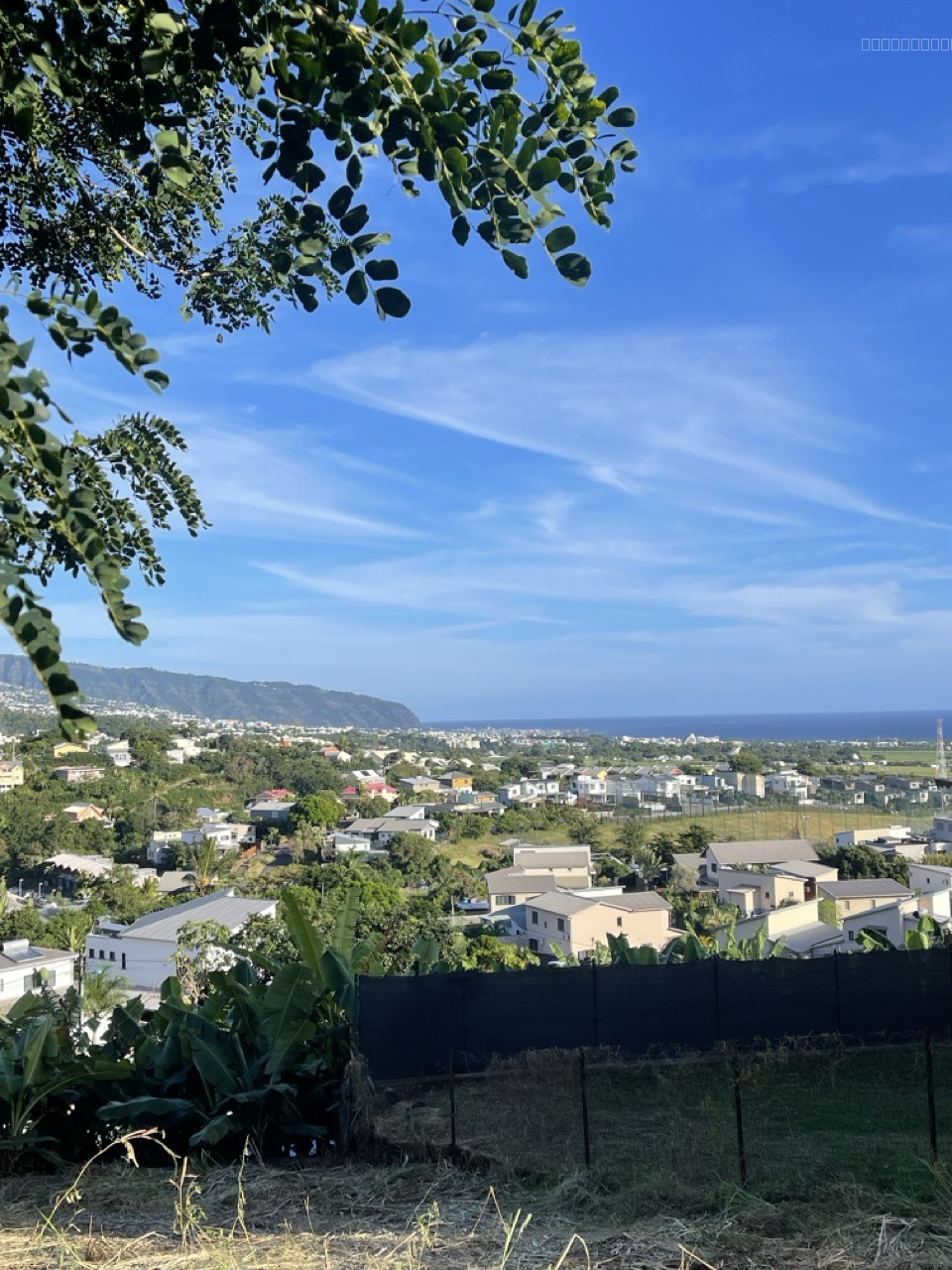 Bien immobilier à vendre à Ste marie, 536 m² – photo 3 sur 9