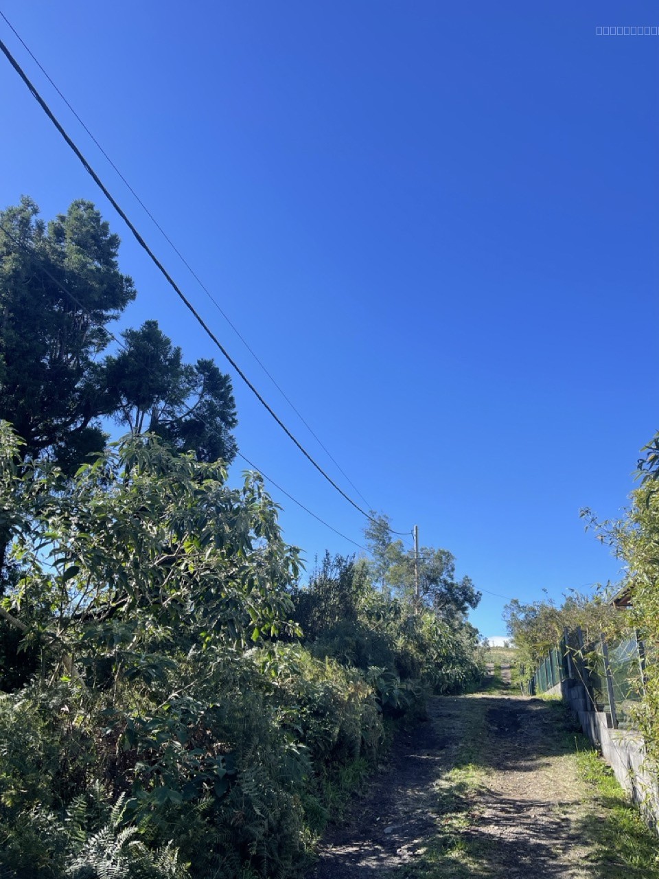 Terrain à vendre à La plaine des cafres, 659 m² – photo 1 sur 3