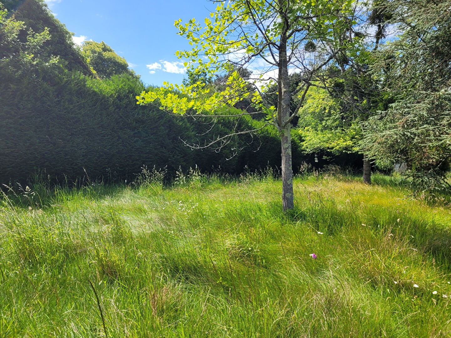 Terrain à vendre à Anet, 706 m² – photo 1 sur 2