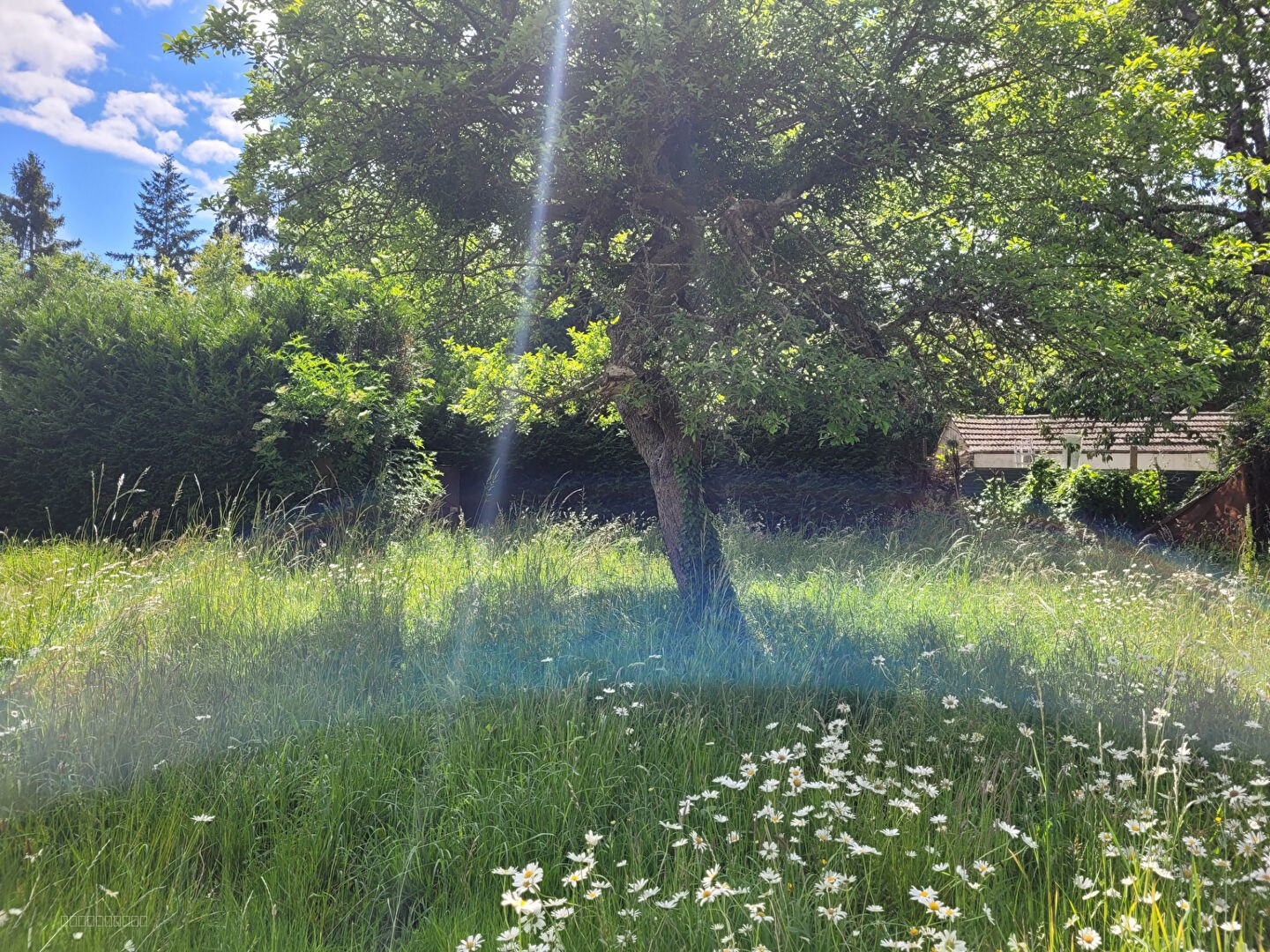 Terrain à vendre à Anet, 706 m² – photo 2 sur 2