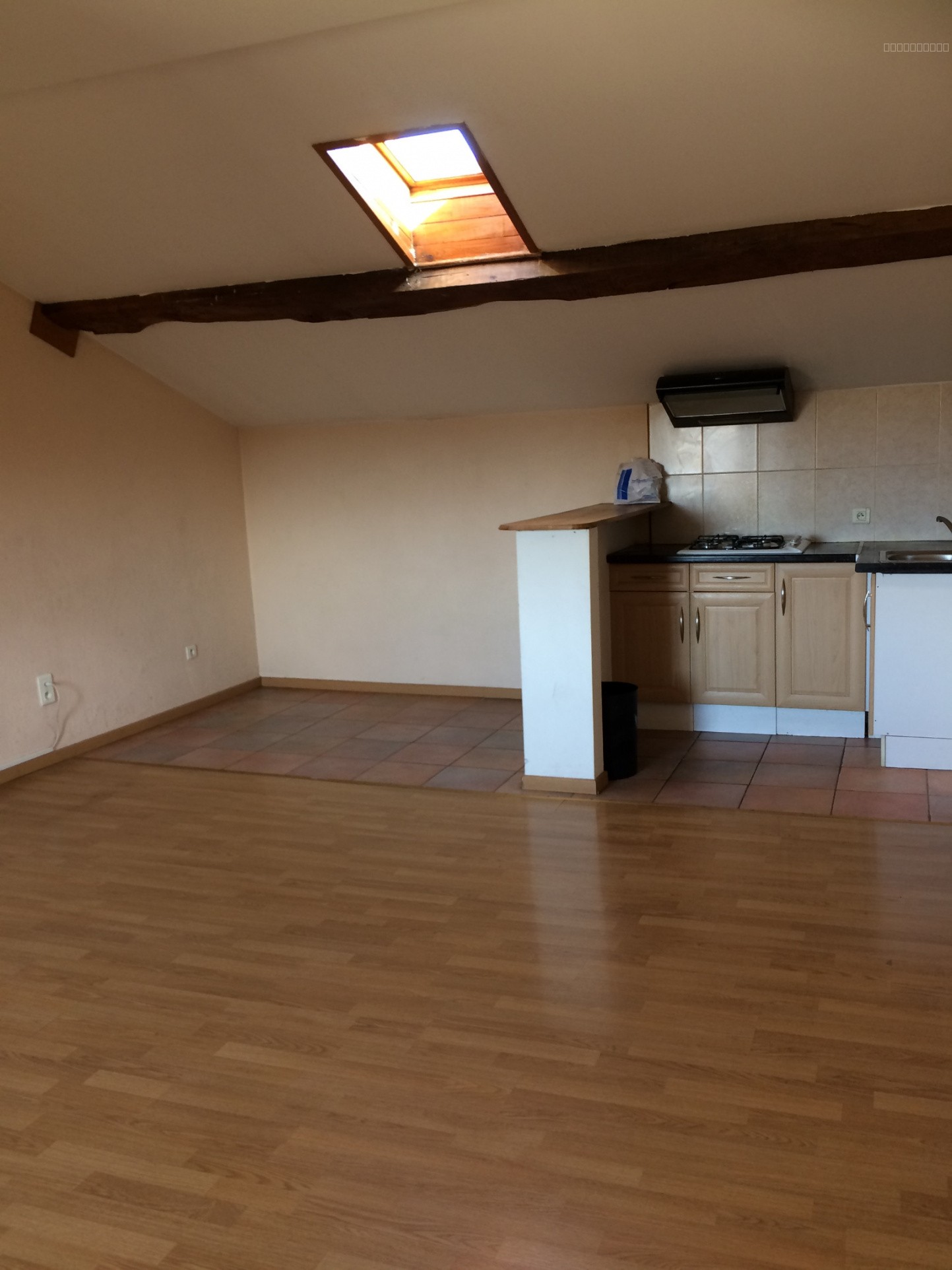 Appartement à louer à Lisle sur tarn, 35 m², 1 pièce – photo 1 sur 3