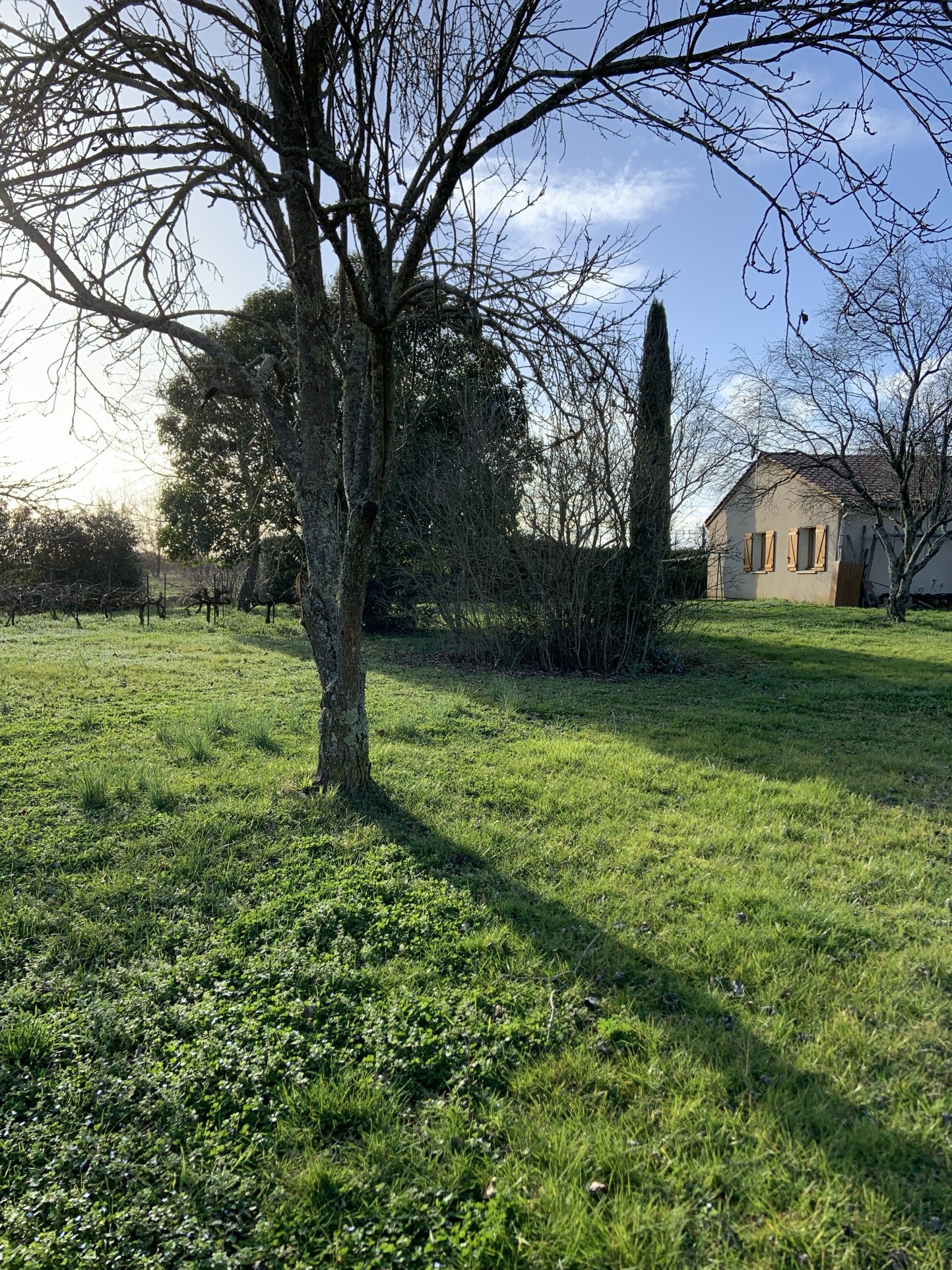 Maison à vendre à Lisle sur tarn, 140 m², 5 pièces – photo 3 sur 8