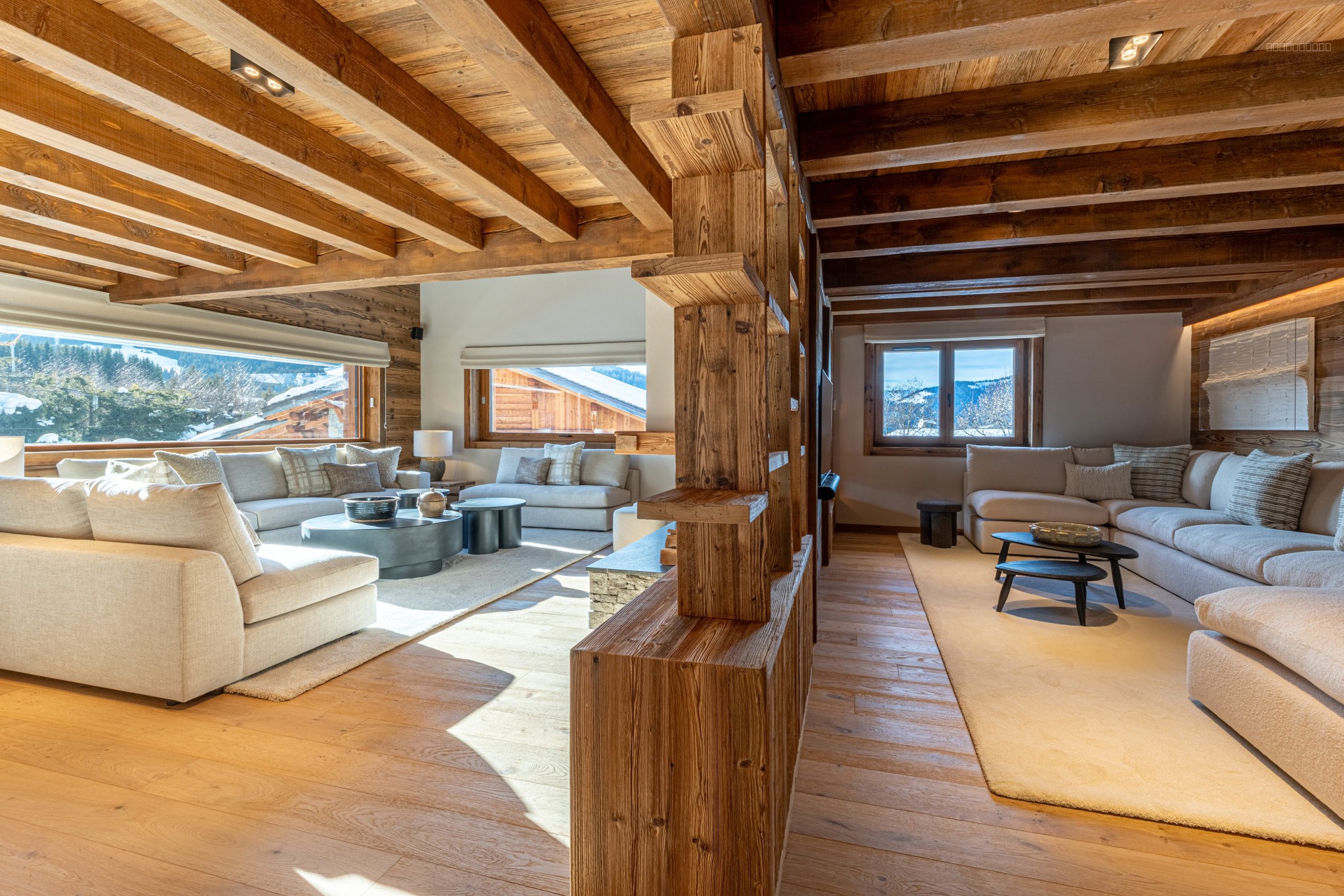 MEGÈVE   MONT D’ARBOIS / CHAMPS LOQUET — photo 7