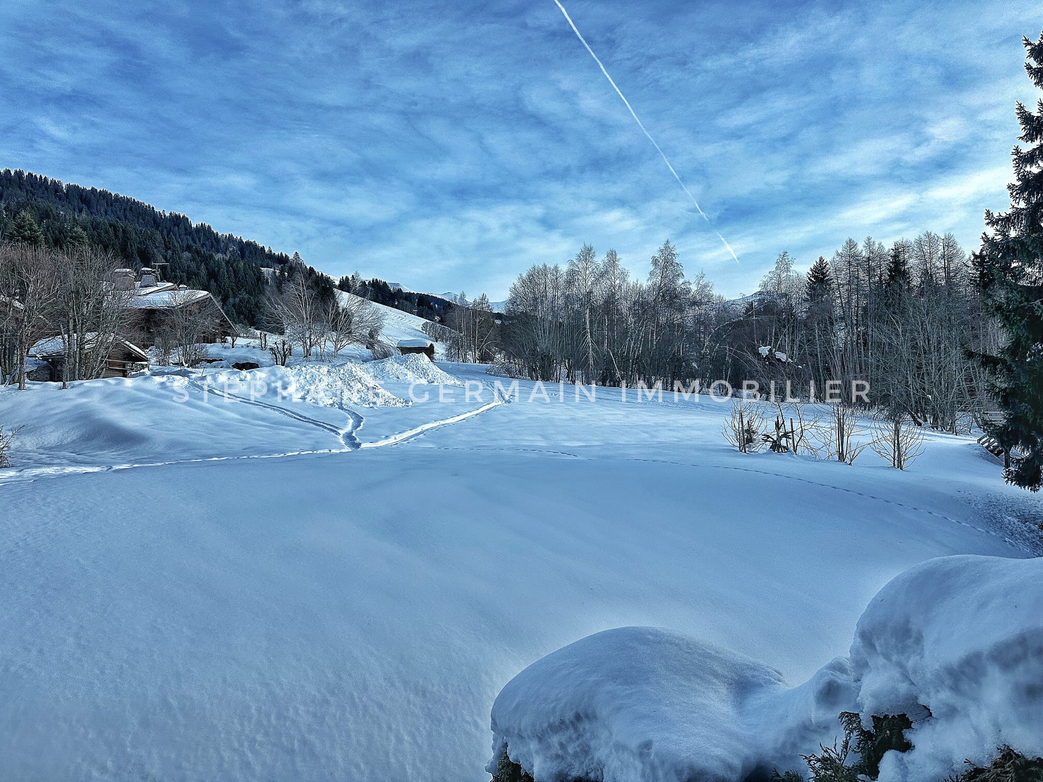 'Skis aux pieds'     Mont d'Arbois Appartement 3 chambres   98 m2 — photo 3