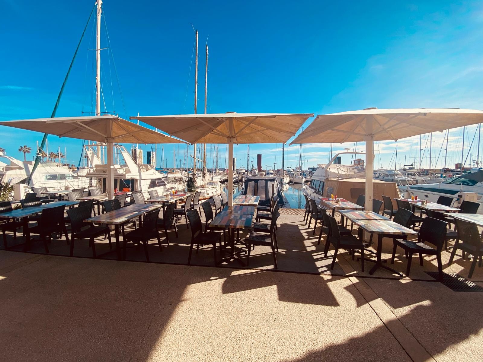 Le Barcarès Port de plaisance ! Superbe restaurant traditionnel belle opportunité ! — photo 2