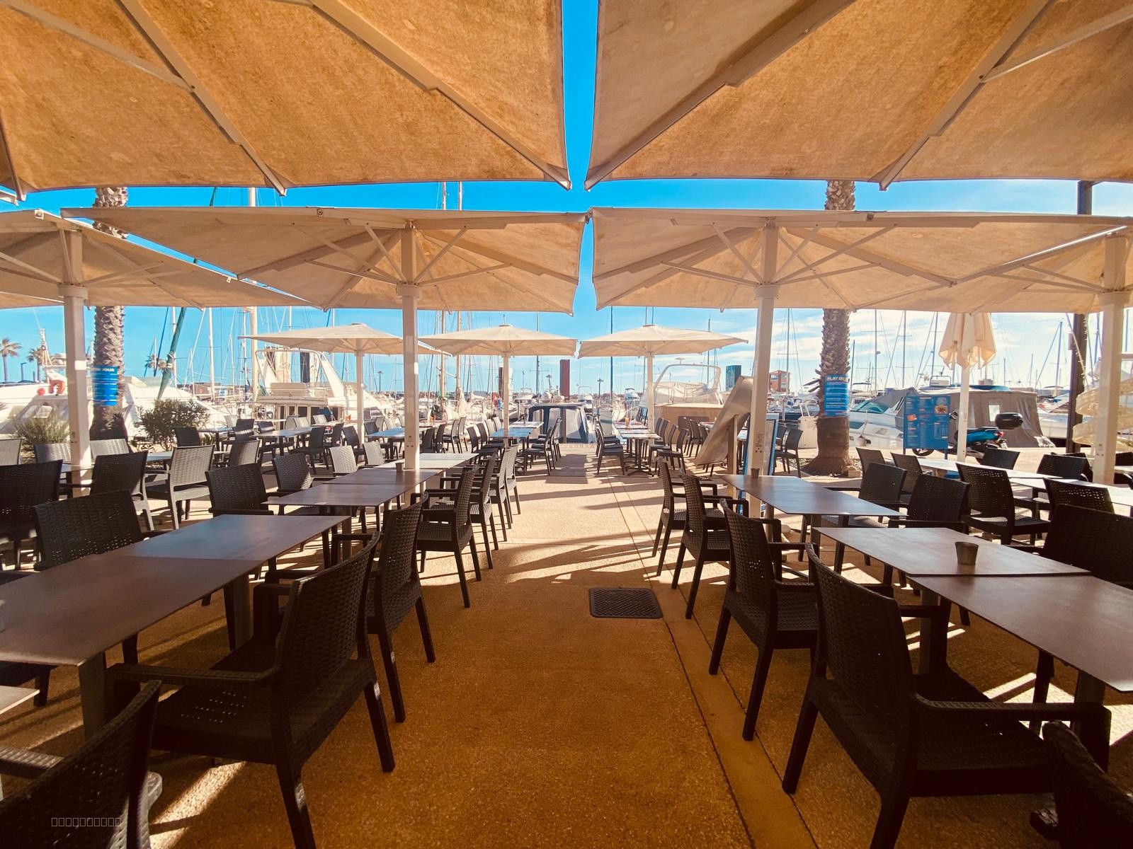 Le Barcarès Port de plaisance ! Superbe restaurant traditionnel belle opportunité ! — photo 4
