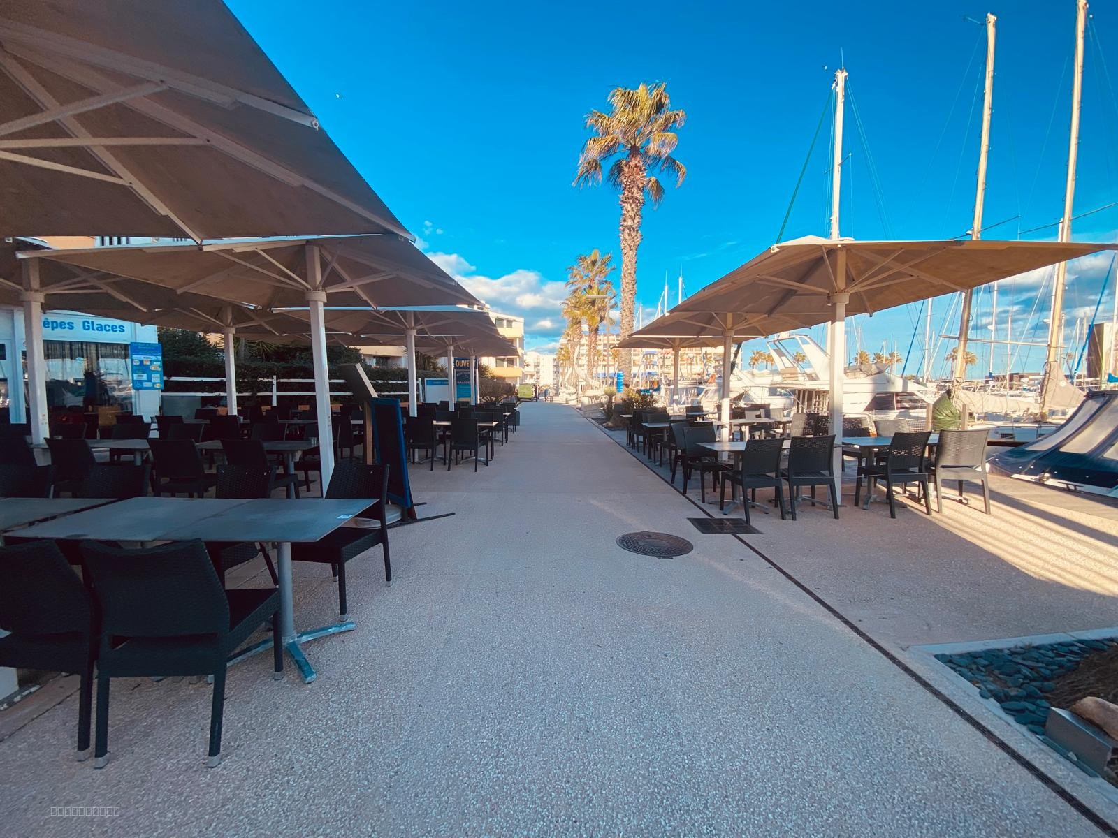 Le Barcarès Port de plaisance ! Superbe restaurant traditionnel belle opportunité ! — photo 8