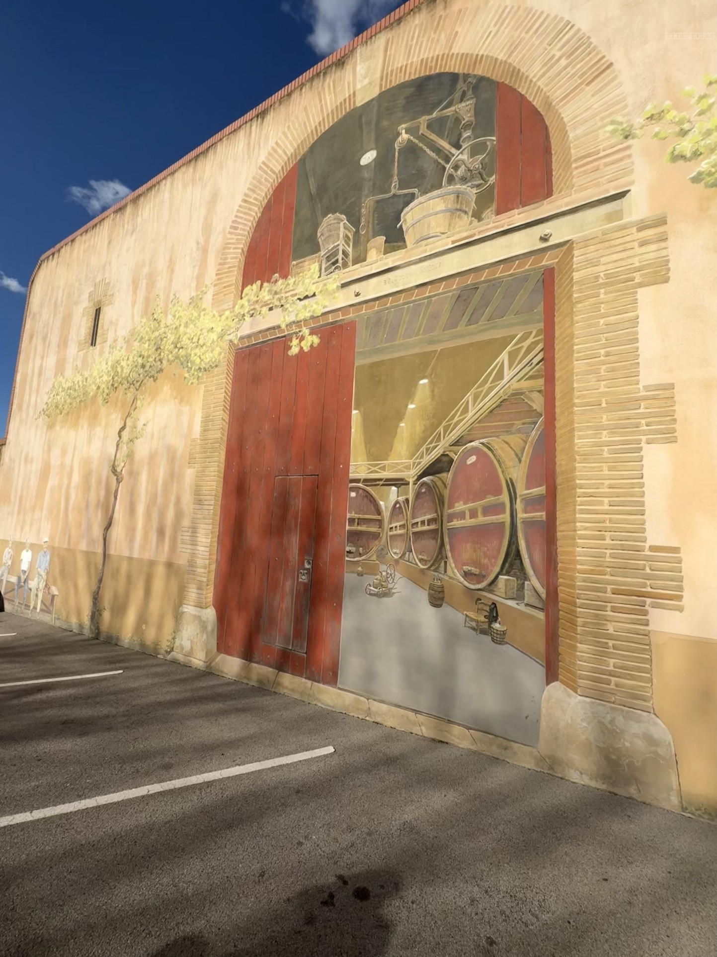 À vendre : La Maison du Terroir   Murs commerciaux au cœur du cru Maury, Fenouillède — photo 5
