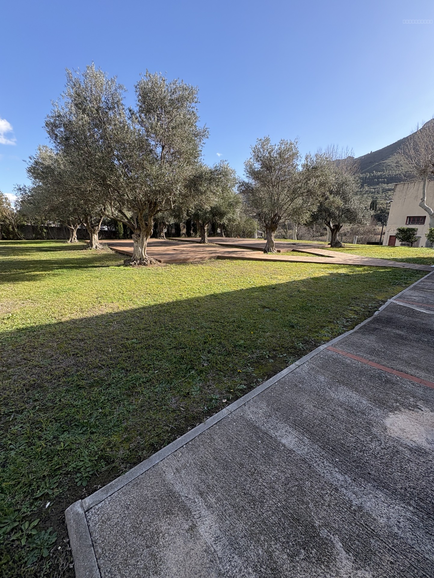 À vendre : La Maison du Terroir   Murs commerciaux au cœur du cru Maury, Fenouillède — photo 9
