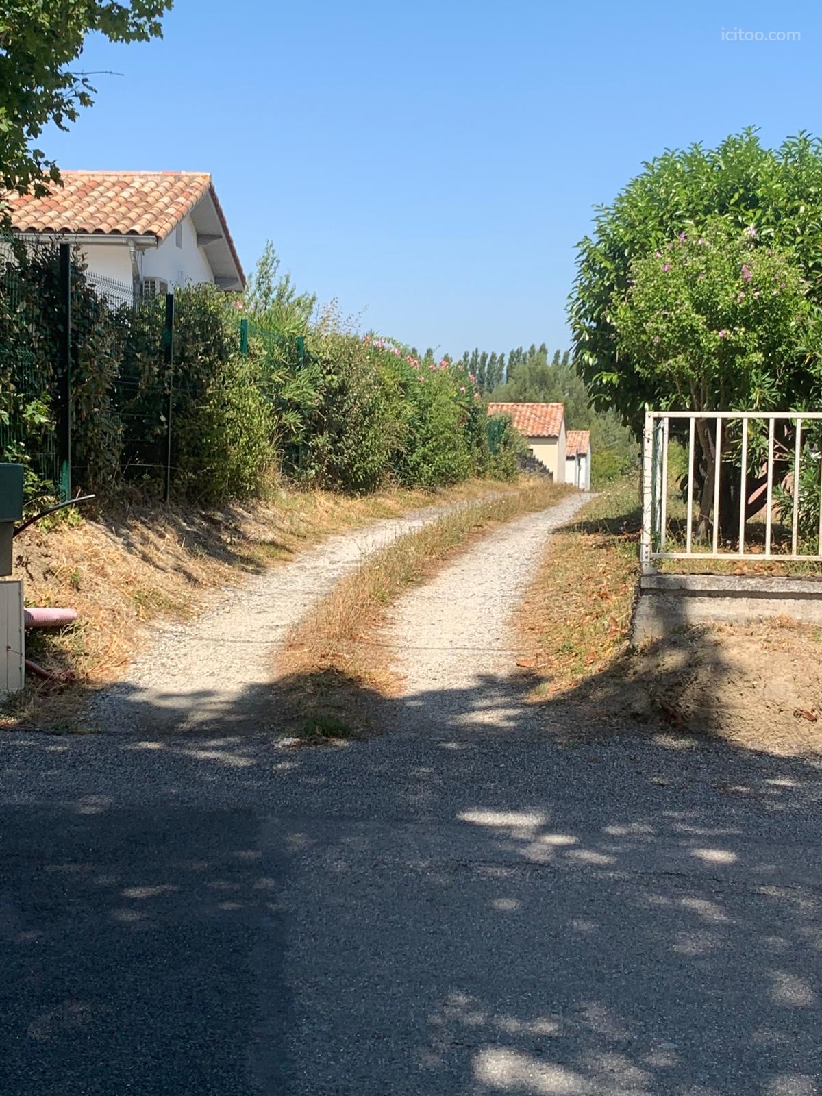 Terrain à vendre à Castelnaudary (11400) : chemin de gravier entre des haies et des clôtures