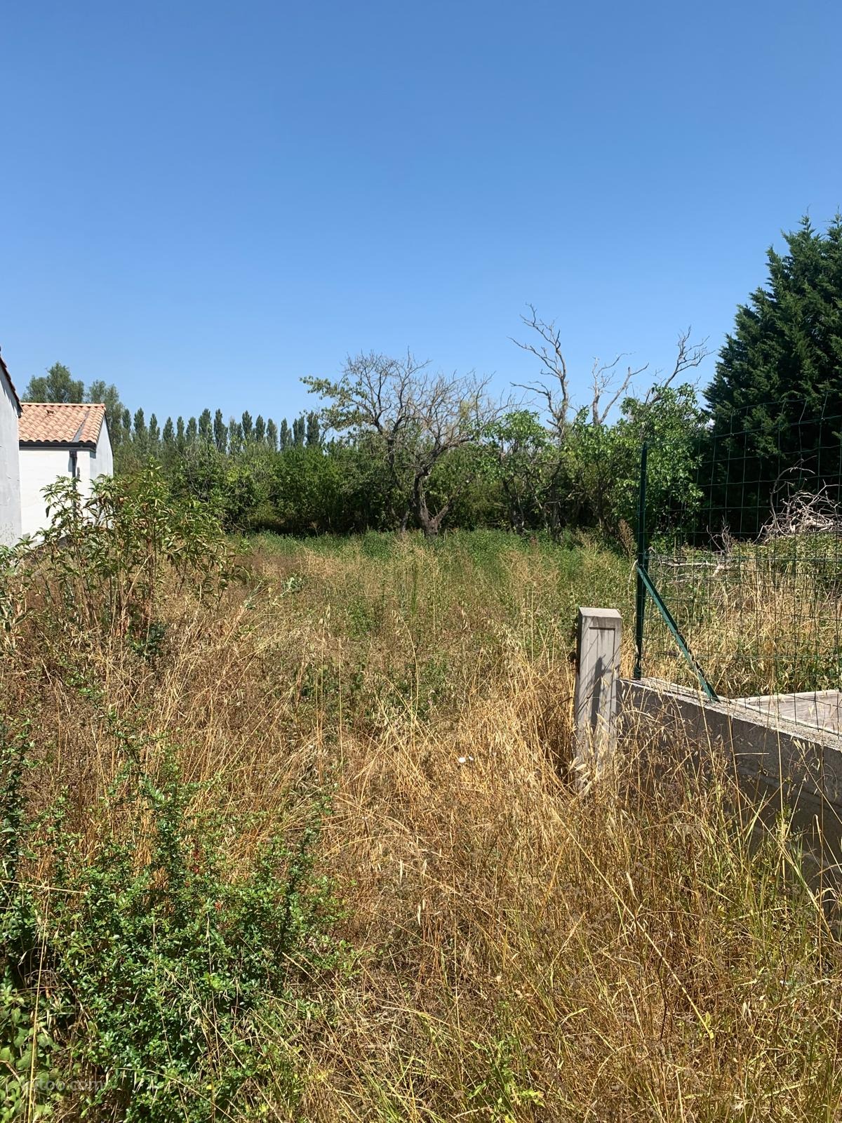 Terrain à vendre à Castelnaudary : parcelle de terrain avec herbes sèches et arbres