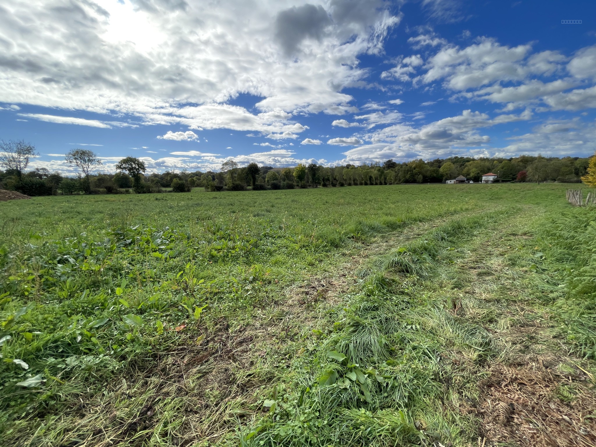 Bien immobilier à vendre à Artigueloutan, 1 034 m² – photo 1 sur 2