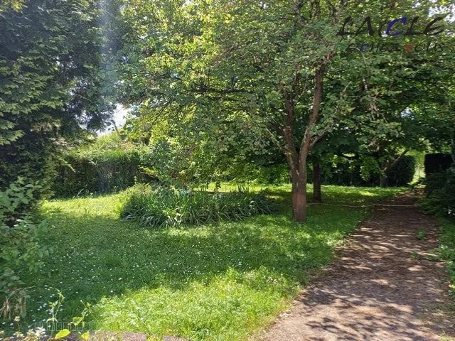PAVILLON SUR SOUS-SOL — photo 6