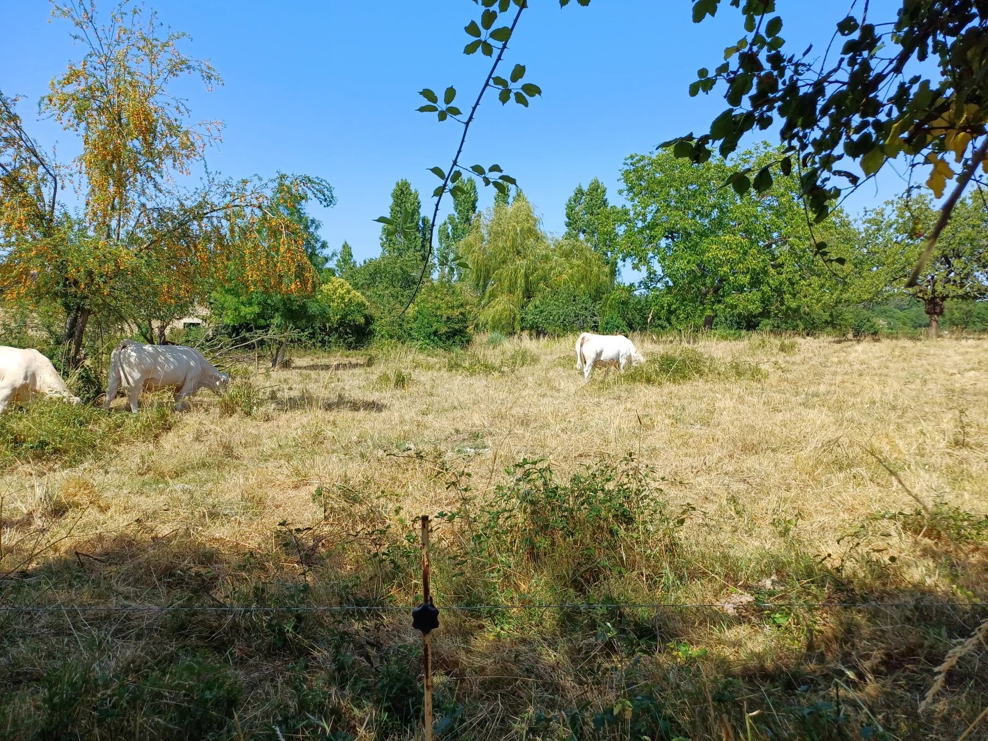 Terrain à vendre à Beceleuf, 2 217 m² – photo 1 sur 1