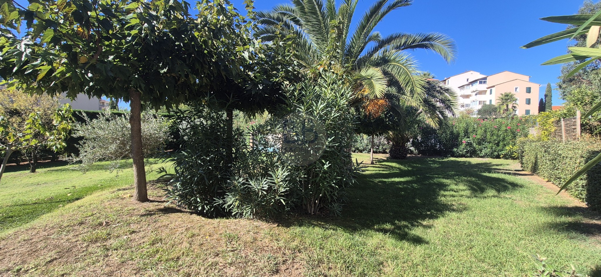 FRÉJUS   2 PIÈCES MODERNE AVEC JARDIN 92m2 PLEIN SUD   RARE ! — photo 4