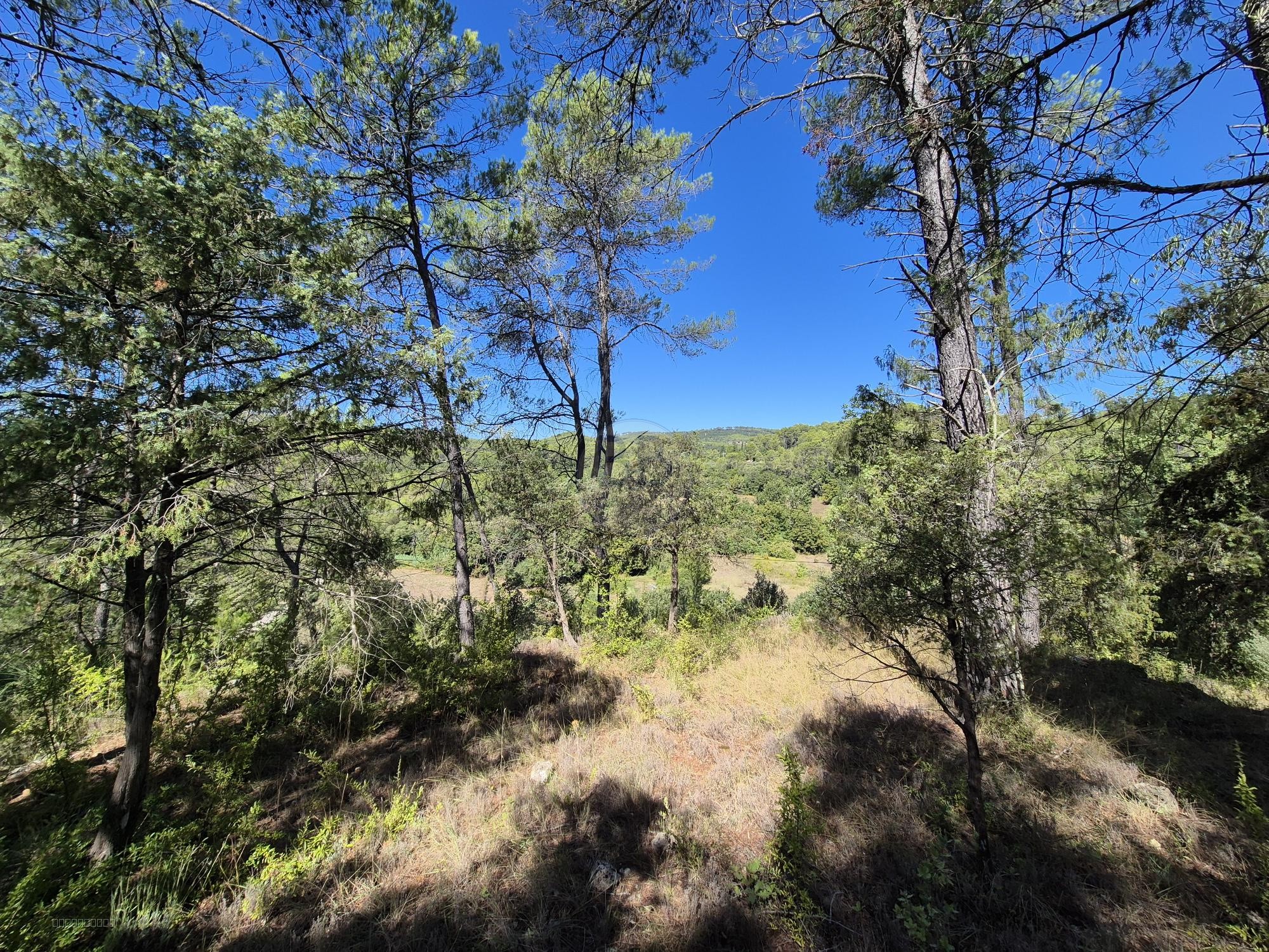 Propriété unique à Lorgues — photo 20