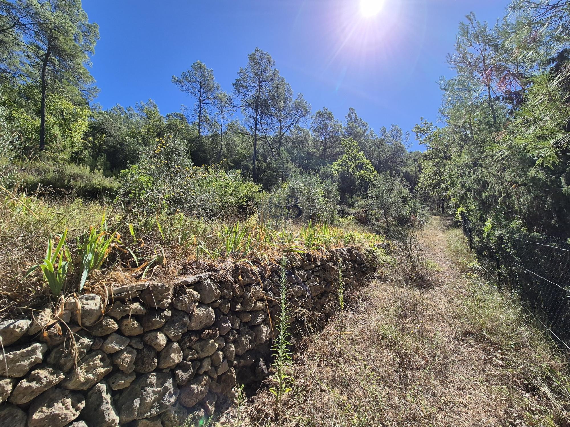 Propriété unique à Lorgues — photo 22
