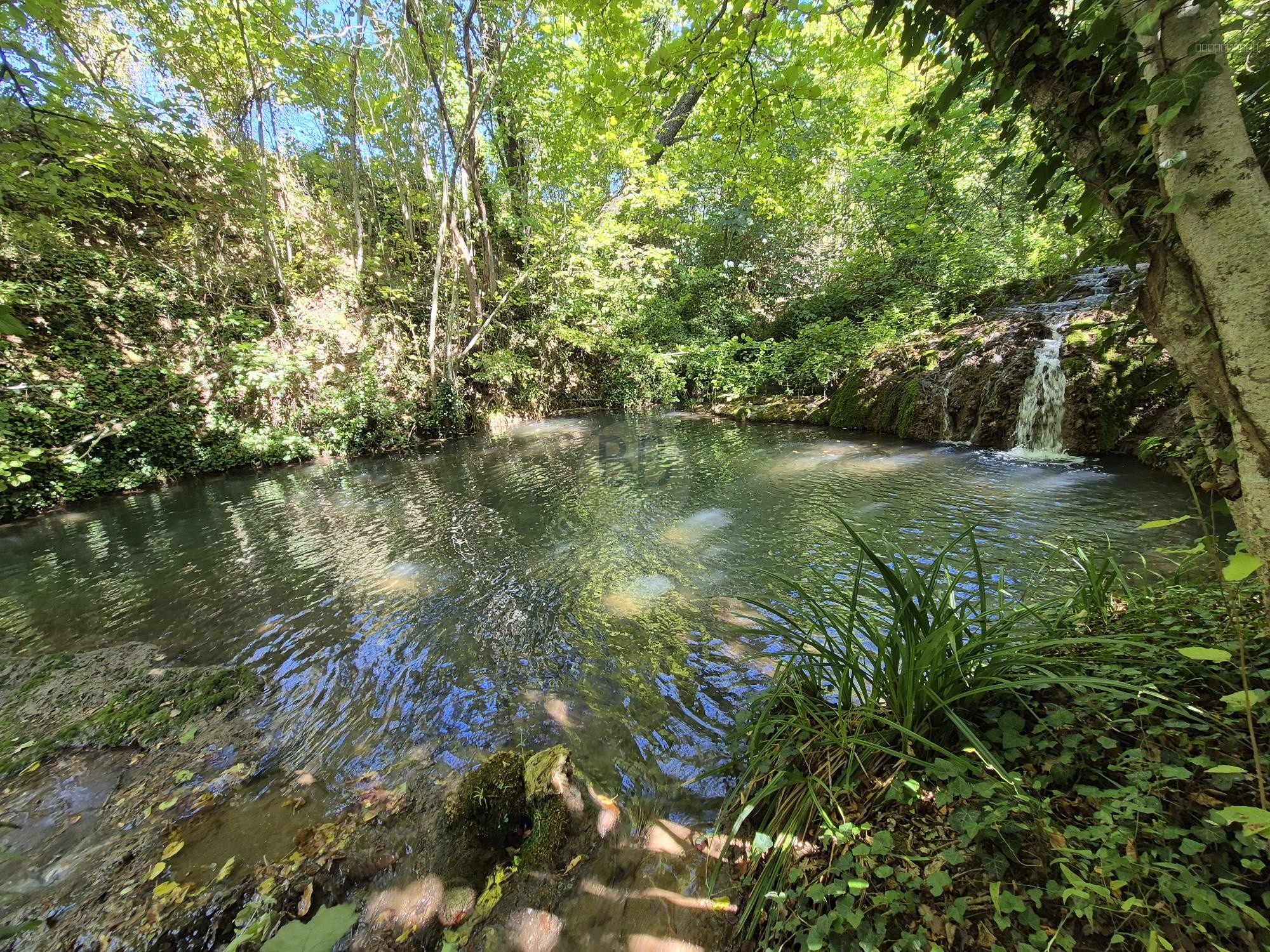 Propriété unique à Lorgues — photo 21