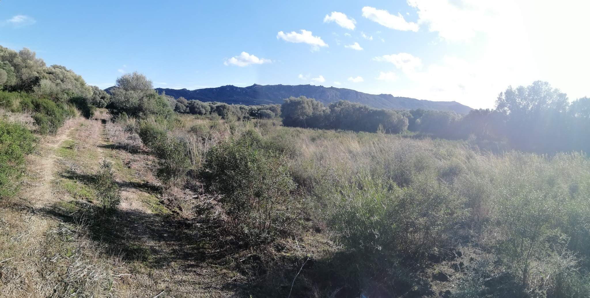 Terrain à vendre à Figari, 54 817 m² – photo 1 sur 1