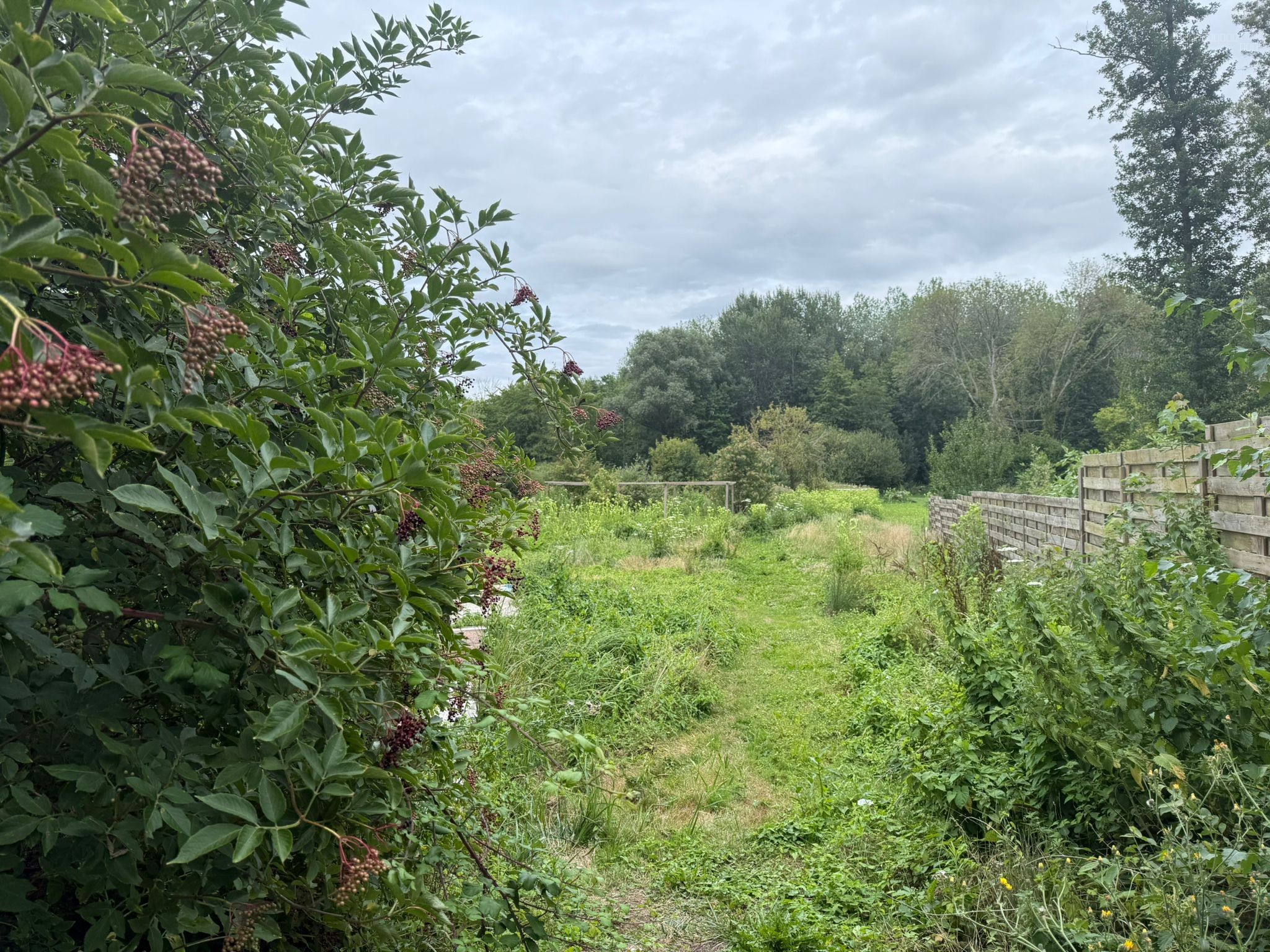 Terrain à vendre à Etampes, 3 129 m² – photo 1 sur 3