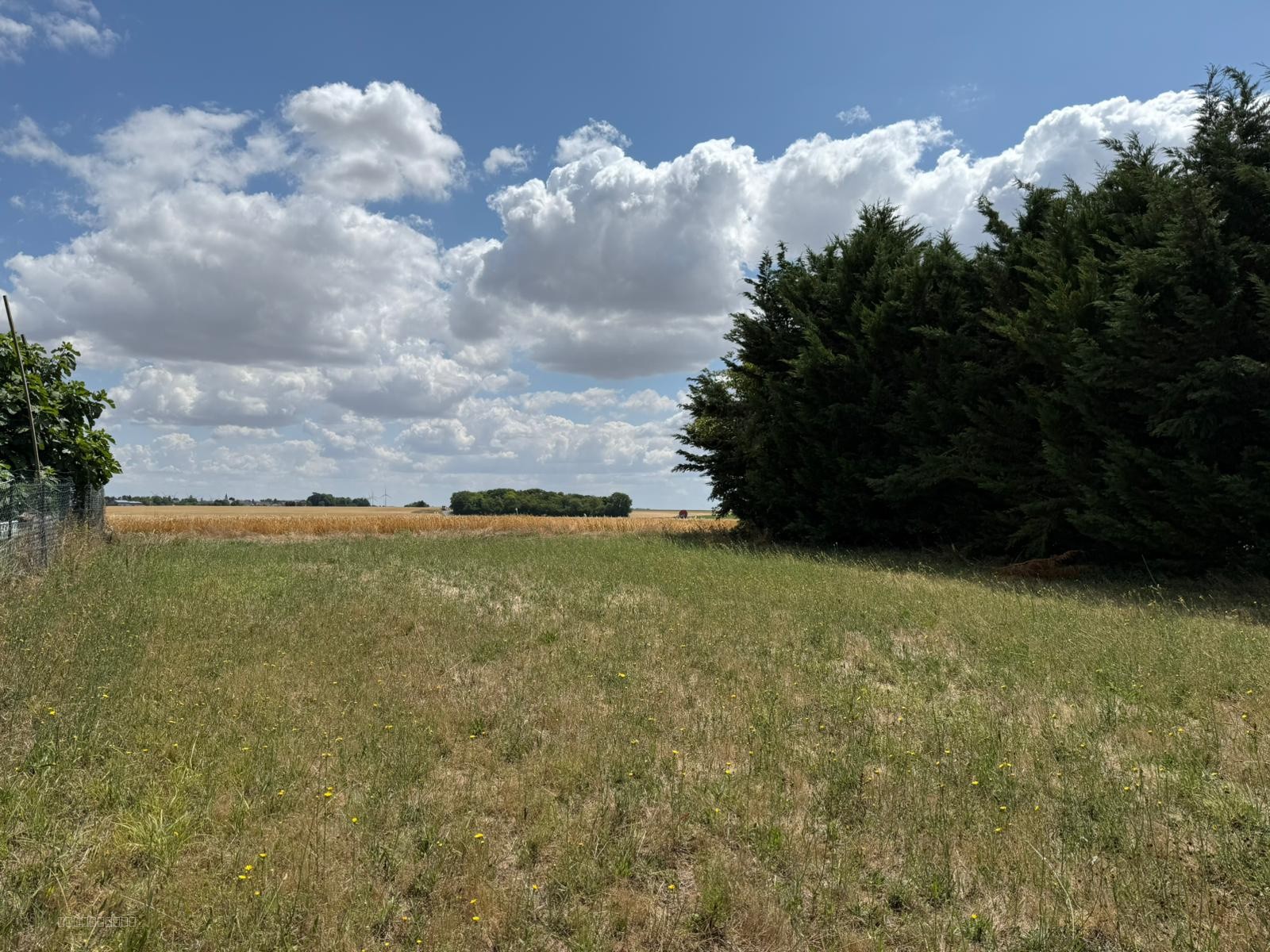Bien immobilier à vendre à Erceville, 1 123 m² – photo 2 sur 3
