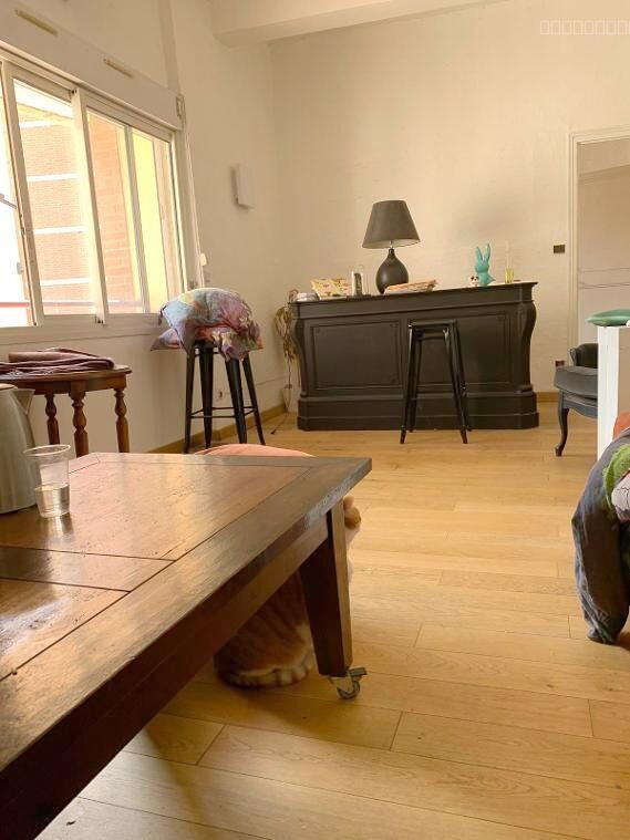 Grand T2 de 84 m2 Centre Ville perpignan — photo 1