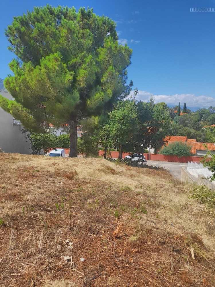Terrain constructible à vendre à Villelongue dels monts, 710 m² – photo 3 sur 6
