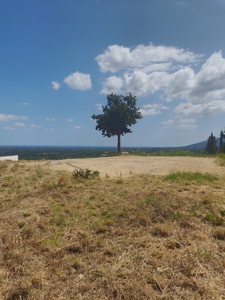 Bien immobilier à vendre à Villelongue dels monts, 710 m² – photo 1 sur 6