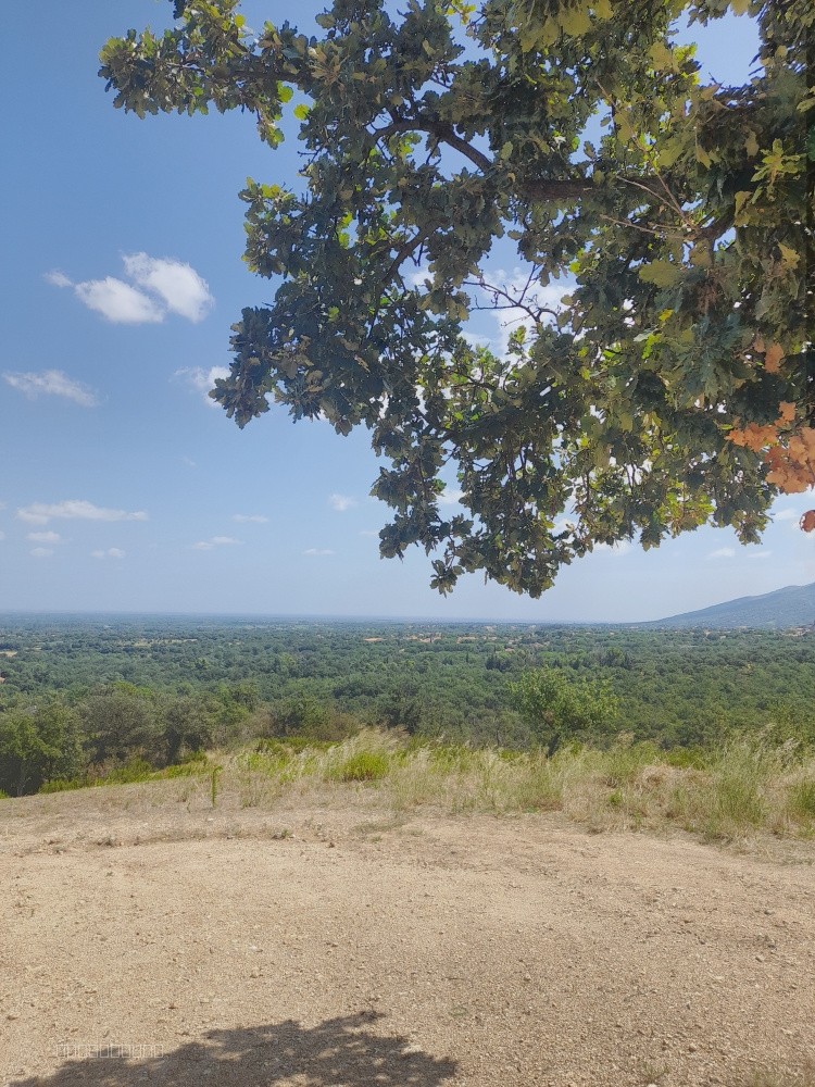 Terrain constructible à vendre à Villelongue dels monts, 710 m² – photo 2 sur 6