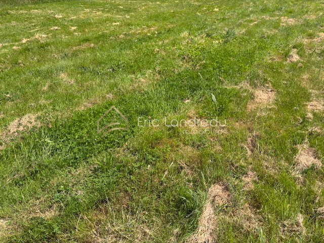 Terrain à bâtir libre de constructeur 436 m2