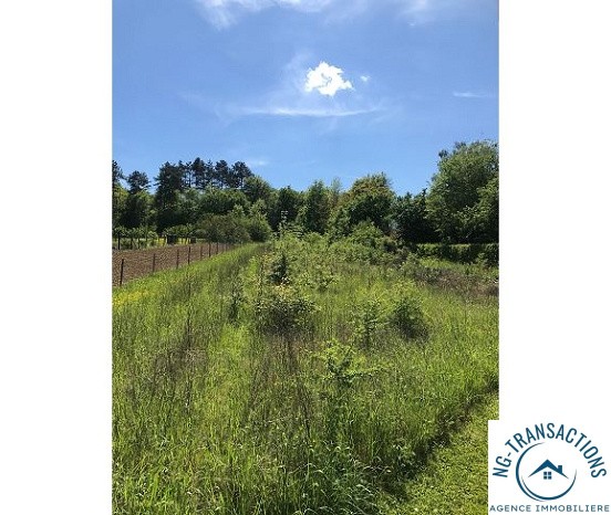 Bien immobilier à vendre à Venoy, 3 010 m² – photo 1 sur 2