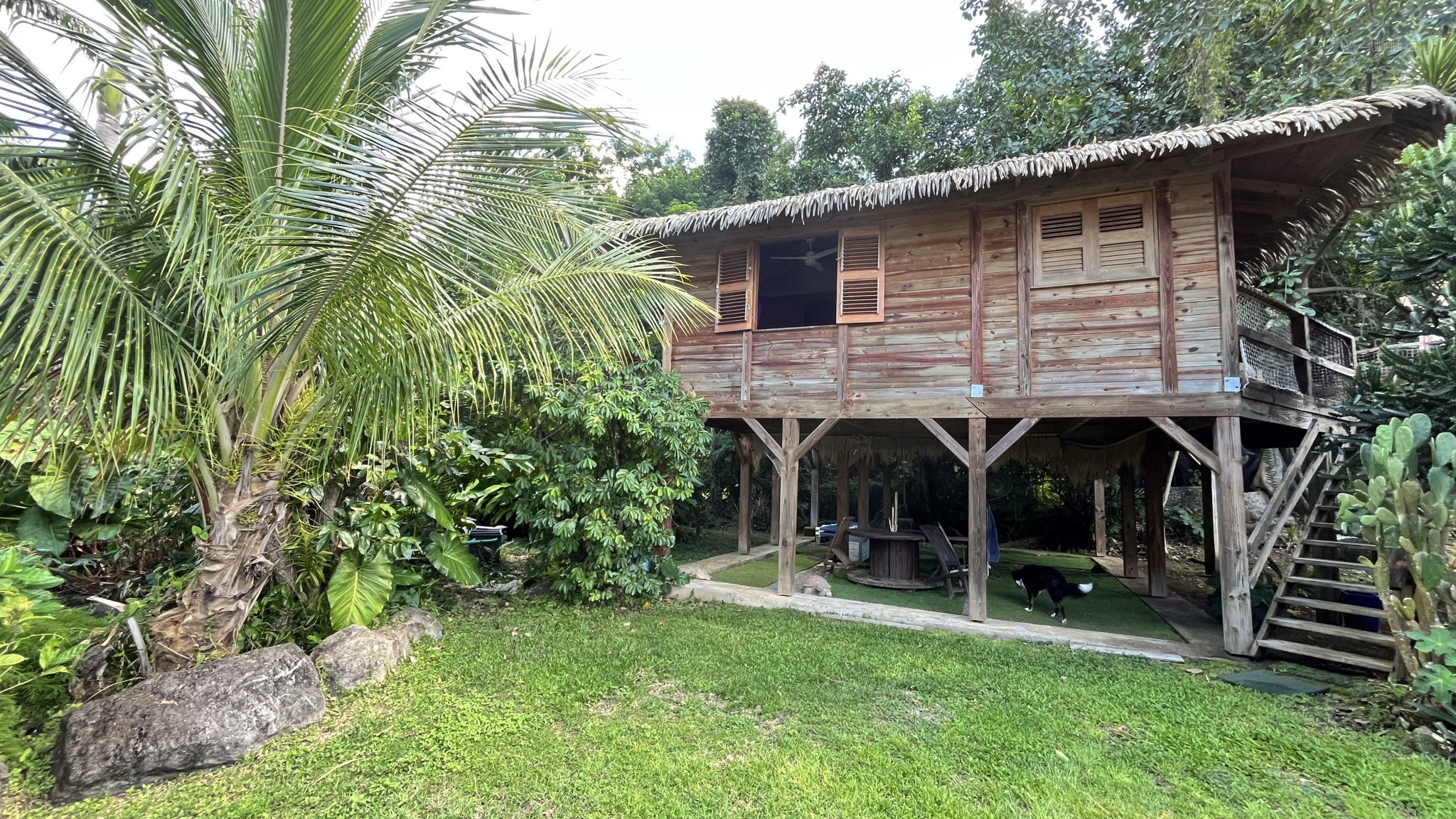 Bien immobilier à vendre à Pointe noire, 30 m², 14 pièces – photo 3 sur 20