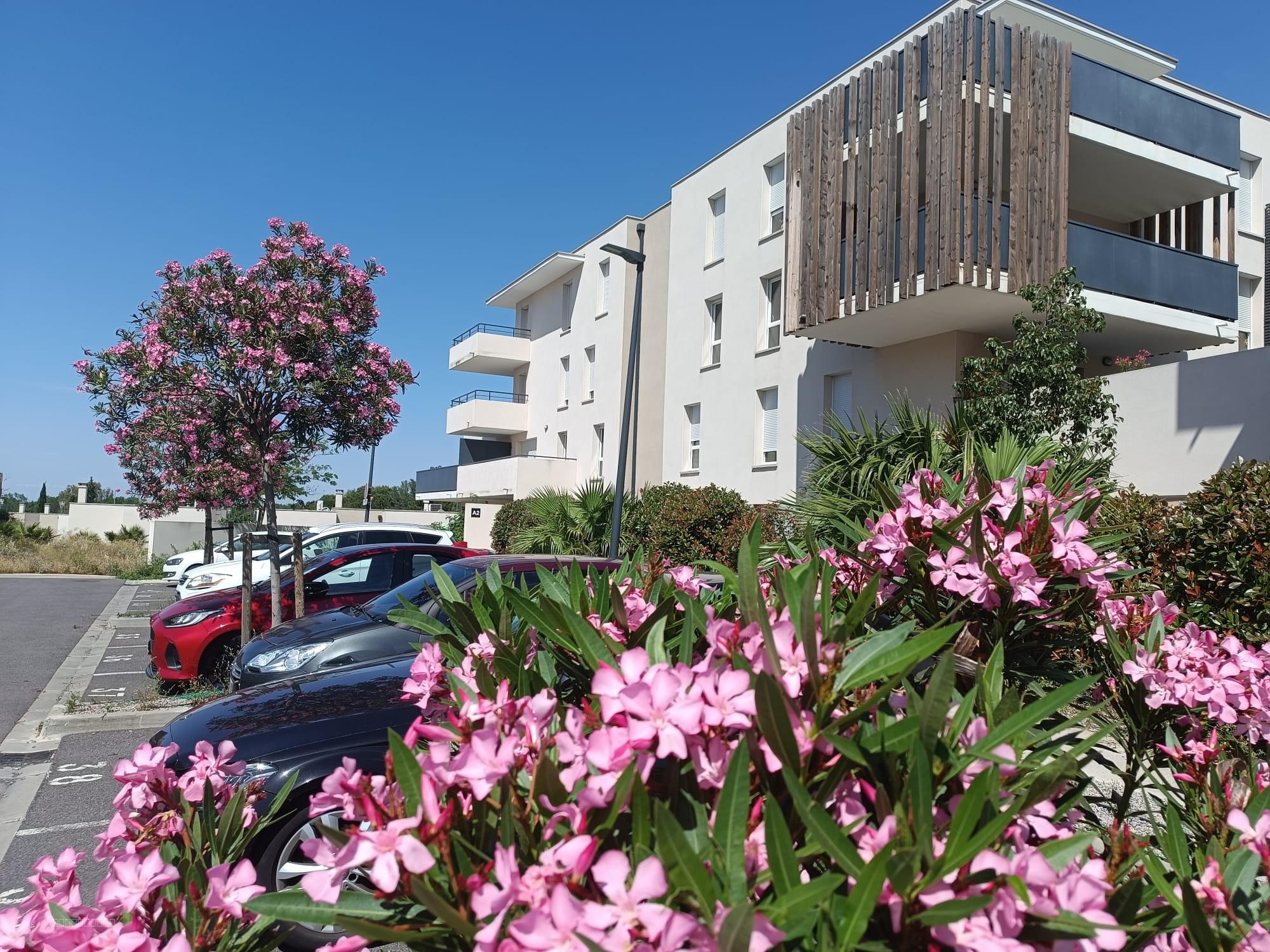 À SAISIR T2 loué avec terrasse et parking DPE A SECTEUR SAINT-SALVAYRE — photo 8